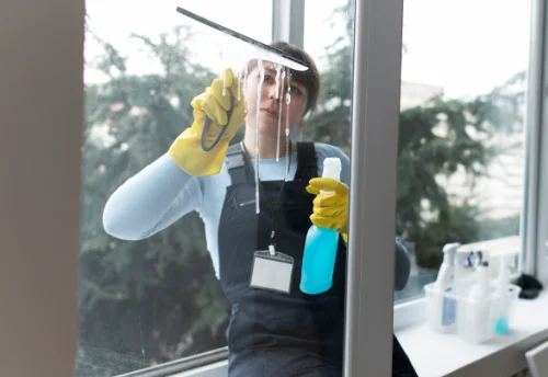 Nettoyage de vitres intérieures et extérieures à Tenay